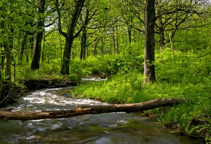 Search the Oak Lawn real estate market and find you next home in Chicago, Illinois